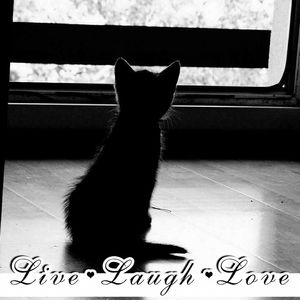 Meet your Posher, Jacqueline